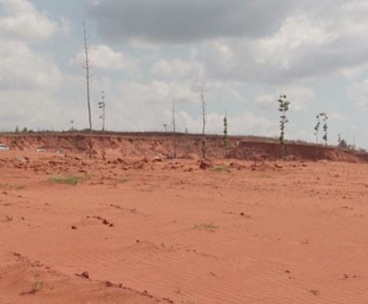 Binh Thuan to curb property speculation